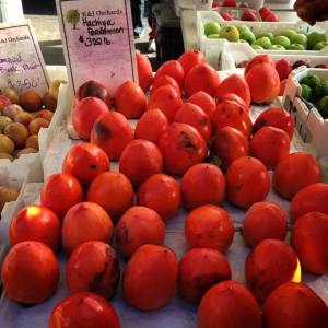 10462373_10152474865423553_5679160768280257646_n