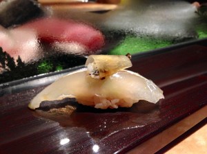 Sayori (mackerel: halfbeak cured w/ryuhi konbu - miyagi)