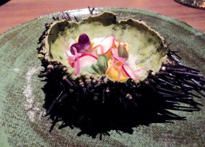 Live Santa Barbara Uni: kohlrabi, radish, yuzu