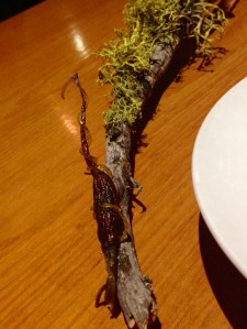 A moss-covered branch with carrot jerky at the tip
